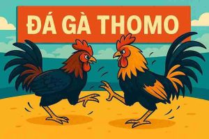 Đá Gà Thomo KK88 – Trải Nghiệm Cá Cược Hấp Dẫn